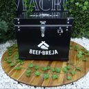 CAIXA TÉRMICA B&B - 17 LITROS